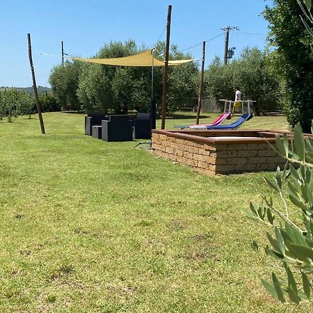Podere La Vignata Toiano Εξωτερικό φωτογραφία
